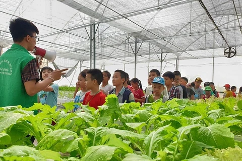 Các em học sinh tham gia trải nghiệm tại khu du lịch Hải Đăng, Thanh Trì. (Nguồn: Kinhtedothi.vn)