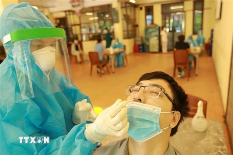 Nhân viên y tế quận Cầu Giấy, Hà Nội lấy mẫu xét nghiệm cho người dân. (Ảnh: Vũ Sinh/TTXVN)