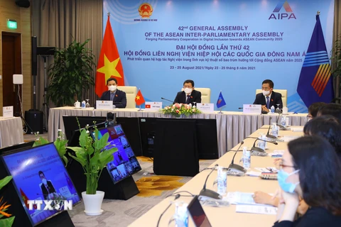 Chủ nhiệm Ủy ban Đối ngoại Vũ Hải Hà dẫn đầu Đoàn đại biểu Quốc hội Việt Nam dự Hội nghị Ủy ban Chính trị được tổ chức theo hình thức trực tuyến. (Ảnh: Nguyễn Điệp/TTXVN)