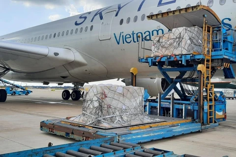 Một chuyến bay của Vietnam Airlines vận chuyển kit xét nghiệm nhanh COVID-19. (Nguồn: Vietnam+)