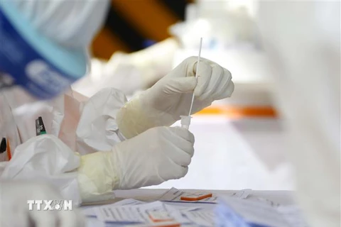 Bộ Y tế đề nghị tổ chức xét nghiệm sàng lọc SARS-CoV-2 đối với nhóm dân cư cần phải sơ tán. (Ảnh minh họa. Nguồn: TTXVN)