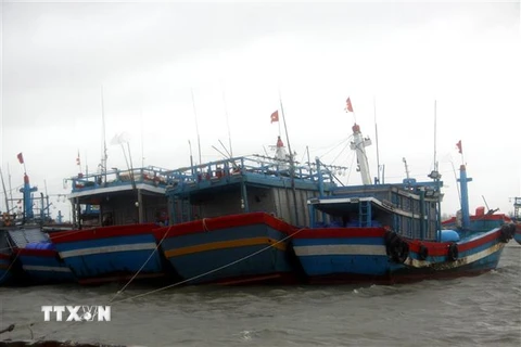 Tàu, thuyền của ngư dân xã Tam Quang, huyện Núi Thành, tỉnh Quảng Nam. (Nguồn: TTXVN)