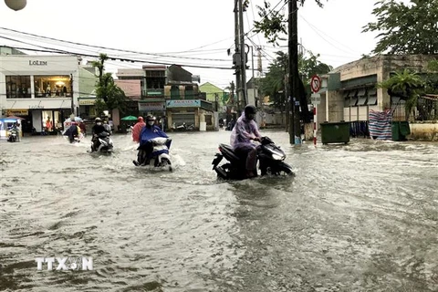 Một tuyến đường ở Quảng Ngãi bị ngập sâu trong nước. (Ảnh: Lê Ngọc Phước/TTXVN)