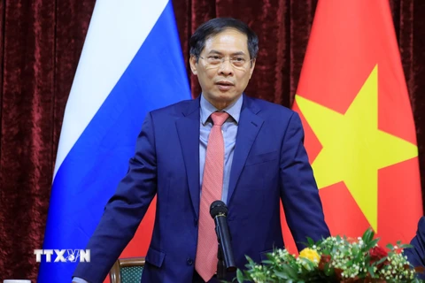 Bộ trưởng Ngoại giao Bùi Thanh Sơn. (Ảnh: Trần Hiếu/TTXVN)