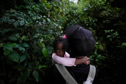 Trẻ em di cư vượt biên giới giữa Colombia và Panama qua rừng nhiệt đới Darien. (Nguồn: AP)