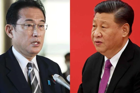 Tân Thủ tướng Nhật Bản Fumio Kishida (trái) và Chủ tịch Trung Quốc Tập Cận Bình. (Nguồn: Reuters)