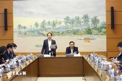 Đại biểu Quốc hội tỉnh Sóc Trăng Hoàng Thanh Tùng phát biểu ý kiến. (Ảnh: Doãn Tấn/TTXVN)
