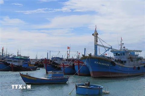 Các tàu cá tại Cảng cá Mỹ Tân, xã Thanh Hải, huyện Ninh Hải, tỉnh Ninh Thuận đều được lắp thiết bị giám sát hành trình. (Ảnh: Minh Hưng/TTXVN)