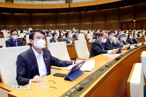 Đoàn đại biểu Quốc hội tỉnh Cao Bằng dự phiên họp. (Ảnh: Doãn Tấn/TTXVN)