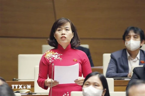 Đại biểu Quốc hội tỉnh Hà Giang Lý Thị Lan phát biểu. (Ảnh: Doãn Tấn/TTXVN)