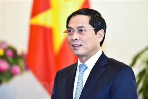 Bộ trưởng Bộ Ngoại giao Bùi Thanh Sơn. (Nguồn: TTXVN)