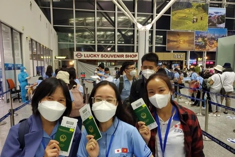 Các ứng viên điều dưỡng, hộ lý lên đường sang Nhật Bản làm việc. (Ảnh: PV/Vietnam+)