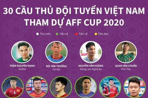 Danh sách đội tuyển Việt Nam tham dự AFF Cup.
