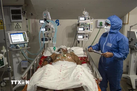 Bệnh nhân nhiễm COVID-19 được điều trị tại bệnh viện ở Sullana, Piura, Peru. (Ảnh: AFP/TTXVN)