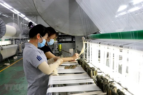 Công nhân tại một công ty thuộc Khu công nghiệp Đức Hòa III, huyện Đức Hòa, Long An. (Ảnh: Bùi Giang/TTXVN)