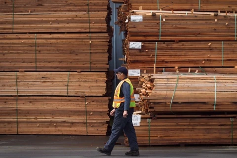 Mỹ tăng thuế nhập khẩu đối với một số loại gỗ xẻ của Canada. (Nguồn: Canadian Press)