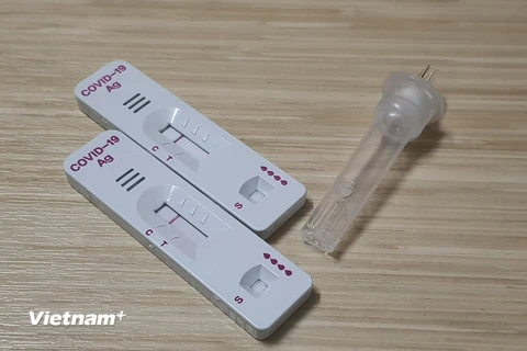 Một bộ kit test nhanh SARS-CoV-2. (Nguồn: Vietnam+)
