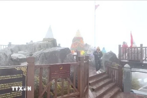 Tuyết rơi ở đỉnh Fansipan trong ngày 26/12. (Ảnh: TTXVN)