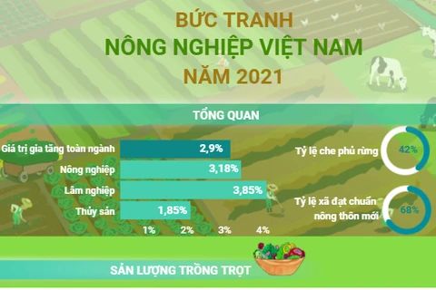 Bức tranh nông nghiệp Việt Nam trong năm 2021.