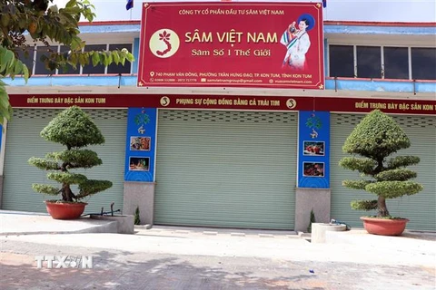 Trụ sở Công ty cổ phần đầu tư Sâm Việt Nam. (Ảnh: Cao Nguyên/TTXVN)
