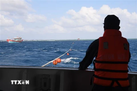 Cán bộ, nhân viên tàu kiểm ngư KN 411 cứu kéo tàu cá mắc cạn của ngư dân Quảng Ngãi tại vùng biển Trường Sa. (Ảnh: TTXVN phát)