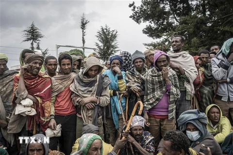 Người tị nạn chờ nhận lương thực cứu trợ tại Debark, Ethiopia. (Ảnh: AFP/TTXVN)