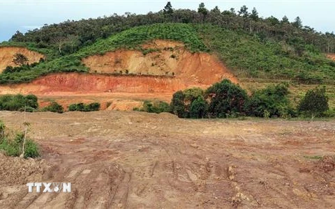 Doanh nghiệp đào cả ngọn núi vẫn còn cây rừng ở Lâm Đồng để lấy đất, đá đem bán trái phép. (Ảnh: TTXVN)