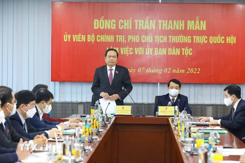 Phó Chủ tịch Thường trực Quốc hội Trần Thanh Mẫn phát biểu, chúc Tết Ủy ban Dân tộc. (Ảnh: Văn Điệp/TTXVN)