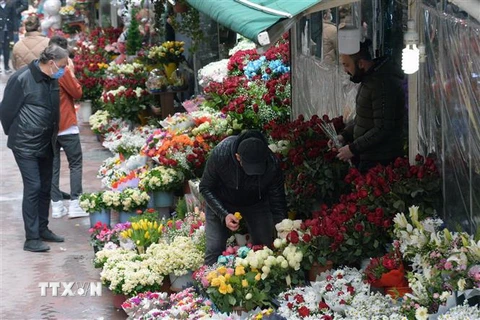 Người dân ngắm hoa tại chợ hoa ở Ankara, Thổ Nhĩ Kỳ, trong ngày lễ Tình nhân 14/2. (Ảnh: THX/TTXVN)