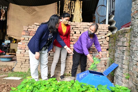 Hố ủ rác ở góc vườn nhà bà Nguyên. (Nguồn: Nông nghiệp Việt Nam)