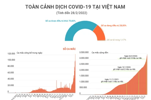 Cập nhật tình hình dịch COVID-19 tại Việt Nam.