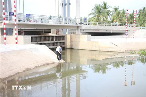 Cán bộ kỹ thuật Công ty THHH một thành viên khai thác công trình thủy lợi Bến Tre kiểm tra độ mặn khu vực cống Châu Thới, huyện Giồng Trôm. (Ảnh: Công Trí/TTXVN)