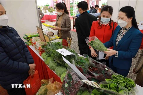 Rau xanh của Hợp tác xã Tiền Lệ - sản phẩm OCOP của huyện Hoài Đức, Hà Nội trưng bày tại hội chợ trong ngày khai mạc. (Ảnh: Vũ Sinh/TTXVN)