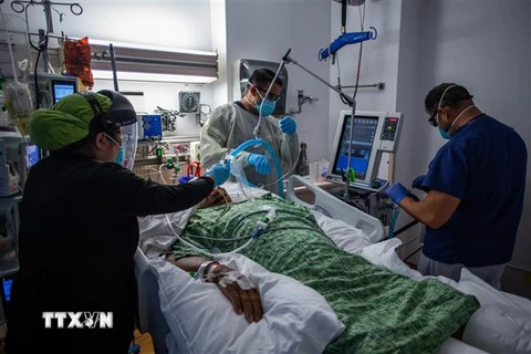 Nhân viên y tế điều trị cho bệnh nhân COVID-19 tại trung tâm y tế ở Tarzana, California, Mỹ. (Ảnh: AFP/TTXVN)