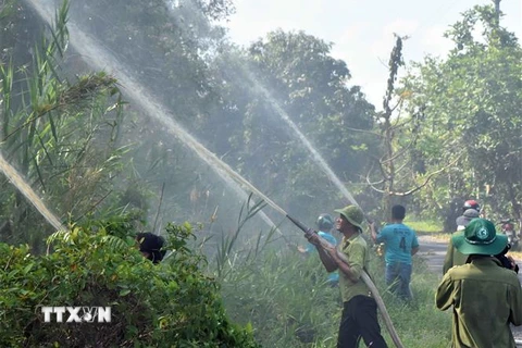 Ban quản lý Vườn Quốc gia U Minh Hạ thường xuyên tổ chức các đợt diễn tập phòng cháy chữa cháy cho cán bộ, lực lượng bảo vệ rừng tại đơn vị. (Ảnh: Huỳnh Anh/TTXVN)