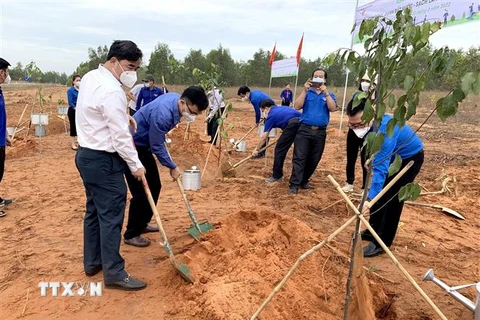 Đoàn viên, thanh niên Bình Thuận trồng 1.000 cây sao đen dọc tuyến kênh thủy lợi tại Khu Lê Hồng Phong, xã Hồng Phong, huyện Bắc Bình. (Ảnh: Nguyễn Thanh/TTXVN)