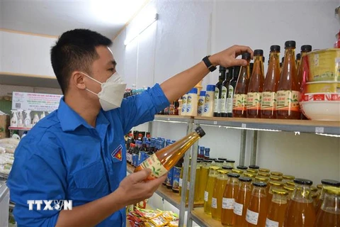 Anh Vũ Minh Ngọc kiểm tra sản phẩm giấm mơ trà xanh tại cửa hàng nông nghiệp sạch thành phố Nam Định. (Ảnh: Công Luật/TTXVN)