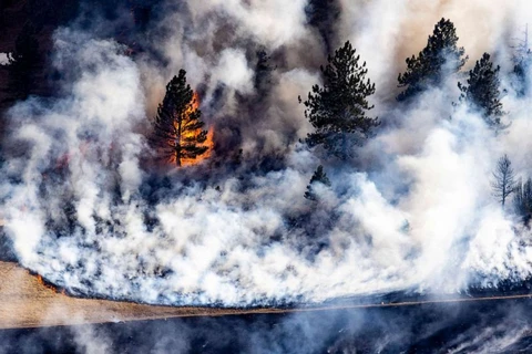 Vụ cháy đã thiêu hủy khoảng 81ha rừng ở gần thành phố Boulder. (Nguồn: Getty Images)