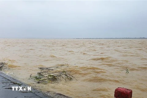 Cánh đồng lúa ở xã Hải Quế, huyện Hải Lăng bị nhấn chìm trong nước do mưa lớn. (Ảnh: Nguyên Lý/TTXVN)