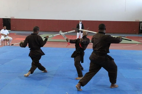 Các võ sinh trình diễn tại Giải vô địch quốc gia Kỹ thuật võ cổ truyền Việt Nam tại Algeria. (Ảnh minh họa: Tấn Đạt/Vietnam+)