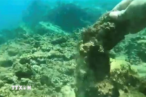 Hình ảnh san hô được cho là tại khu vực Hòn Sẹo chết hàng loạt lan truyền trên mạng xã hội và các trang báo trong thời gian qua. (Ảnh: TTXVN phát)