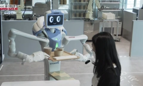 Robot phục vụ thực khách. (Nguồn: NHK)