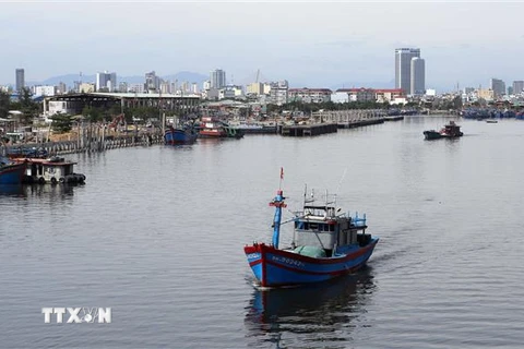 Cảng cá Thọ Quang. (Ảnh: Trần Lê Lâm/TTXVN)