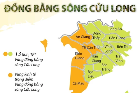 Những nét tổng quan về vùng Đồng bằng sông Cửu Long.