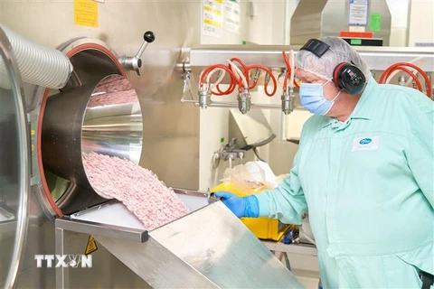 Thuốc viên uống Paxlovid điều trị COVID-19 của hãng Pfizer được sản xuất tại nhà máy ở Freiburg, Đức. (Ảnh: AFP/TTXVN)