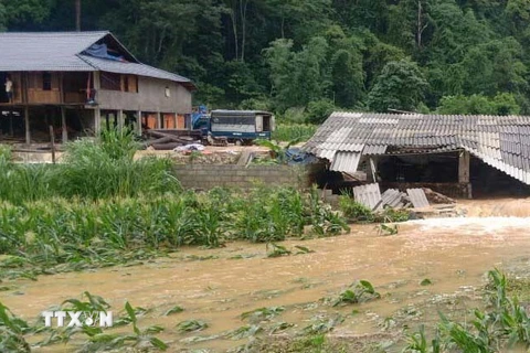 Hoa màu, chuồng trại chăn nuôi của người dân thị trấn Thanh Nhật, huyện Hạ Lang, tỉnh Cao Bằng bị lũ tràn qua gây hư hại. (Ảnh: TTXVN phát)