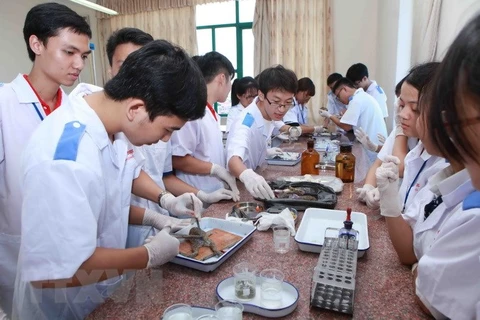 Giờ thực hành của sinh viên một trường đại học. (Nguồn: TTXVN)