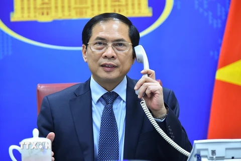 Bộ trưởng Bộ Ngoại giao Bùi Thanh Sơn. (Nguồn: TTXVN phát)