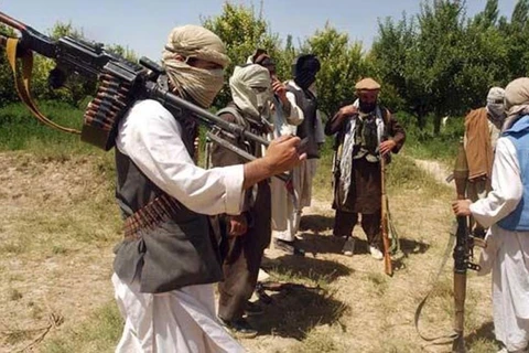 Lực lượng Tehreek-e-Taliban Pakistan (TTP). (Nguồn: Asiatimes)