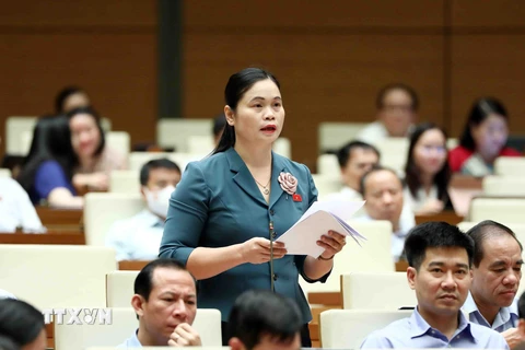 Đại biểu Quốc hội tỉnh Tuyên Quang Ma Thị Thúy phát biểu ý kiến. (Ảnh: Phạm Kiên/TTXVN)